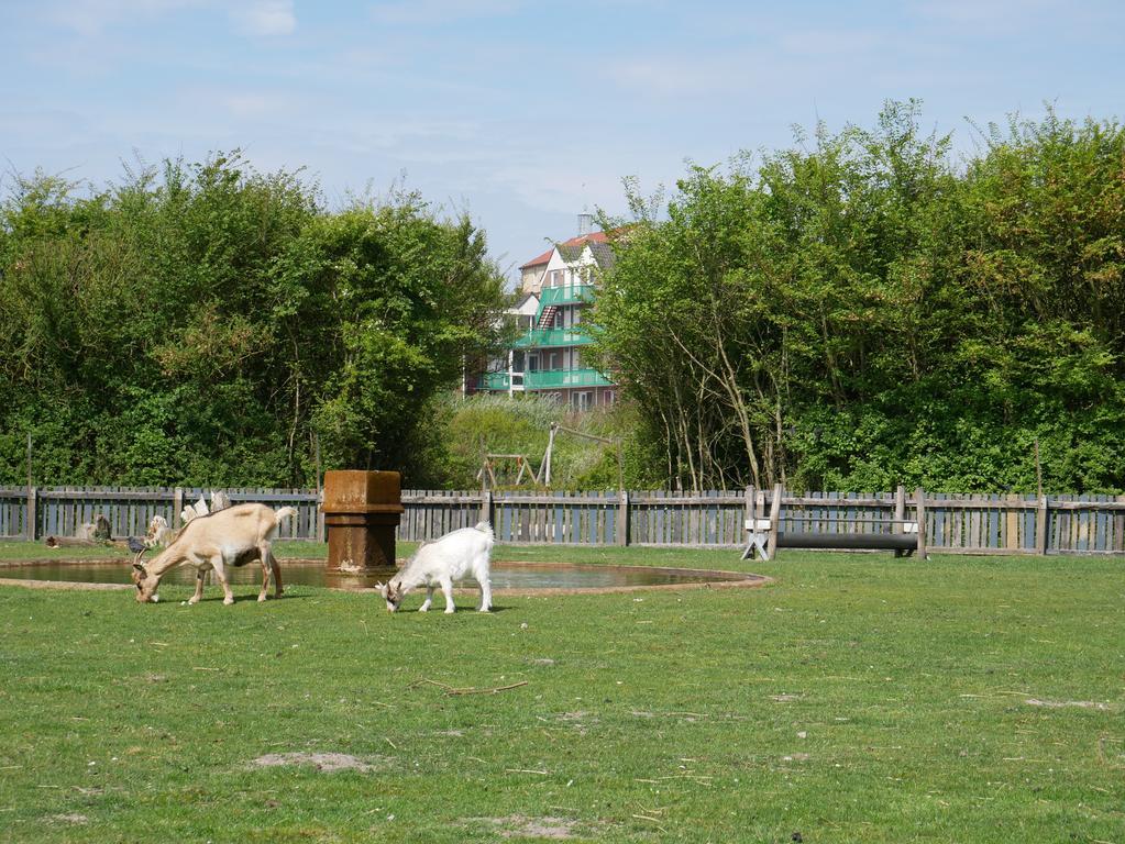 אפרטהוטל ברחן אן זיי Huize De Duinen מראה חיצוני תמונה
