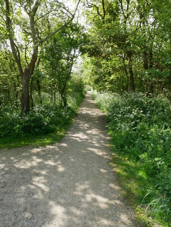 אפרטהוטל ברחן אן זיי Huize De Duinen מראה חיצוני תמונה
