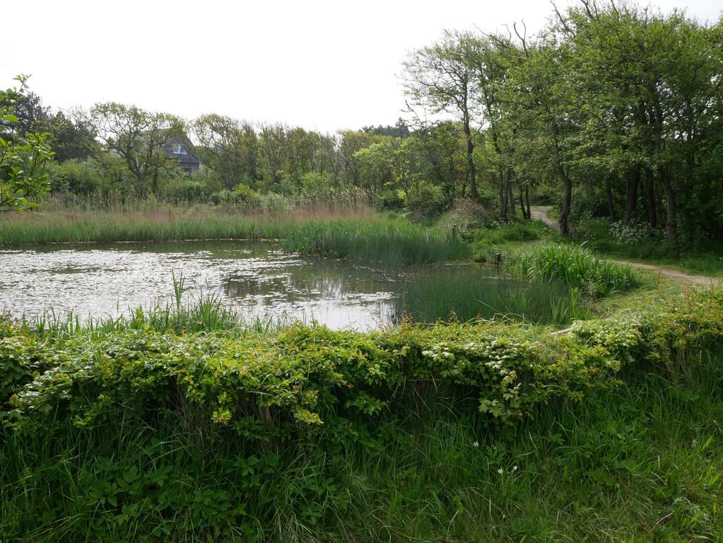 אפרטהוטל ברחן אן זיי Huize De Duinen מראה חיצוני תמונה